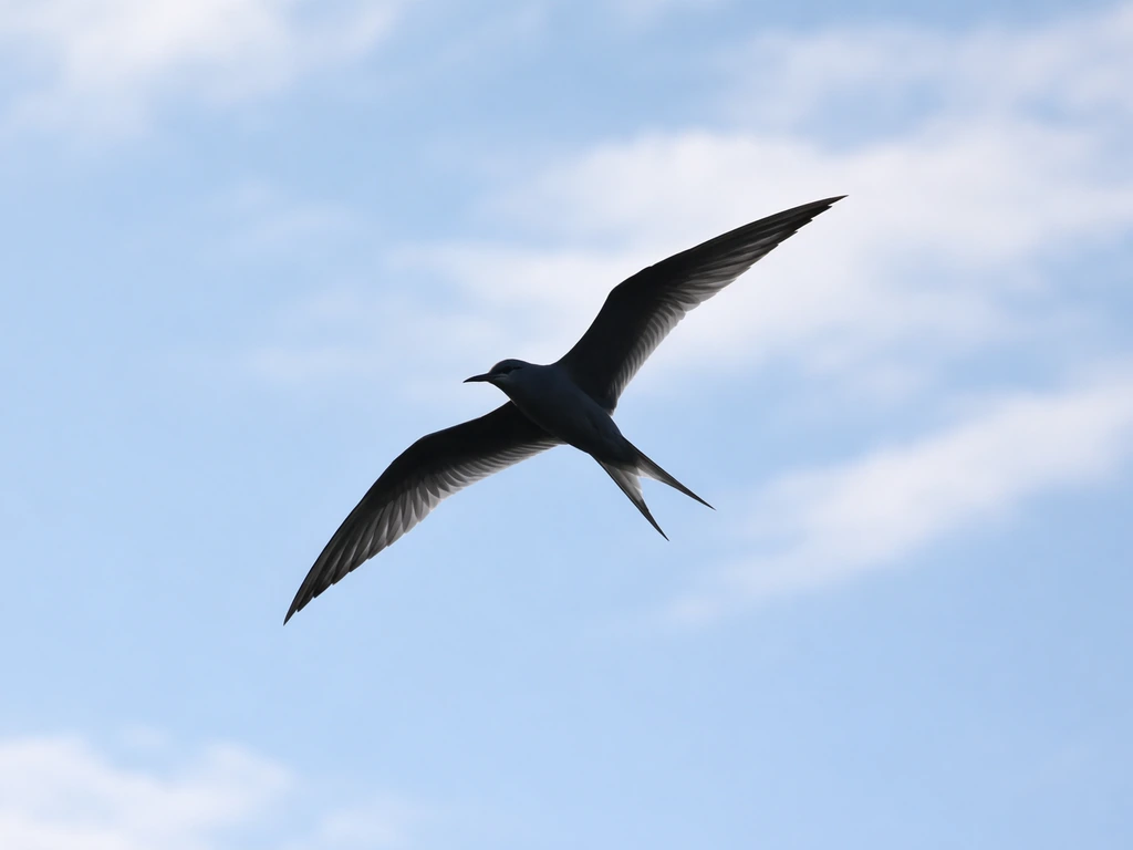 A slim tern gliding in flight with narrow pointed wings and a slightly forked tail against a pale sky.